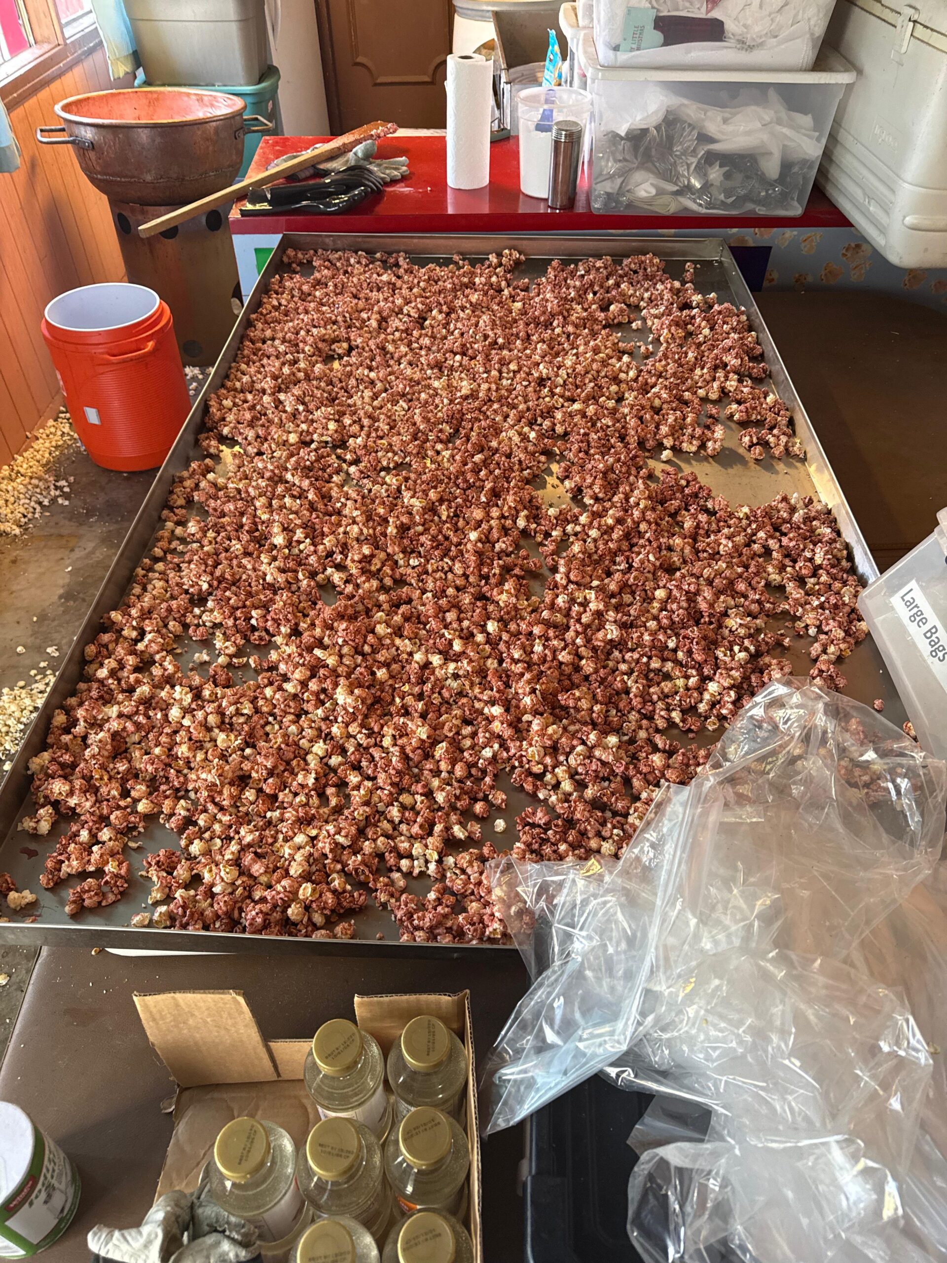 whatsapp image 2026 03 03 at 6.59.39 am